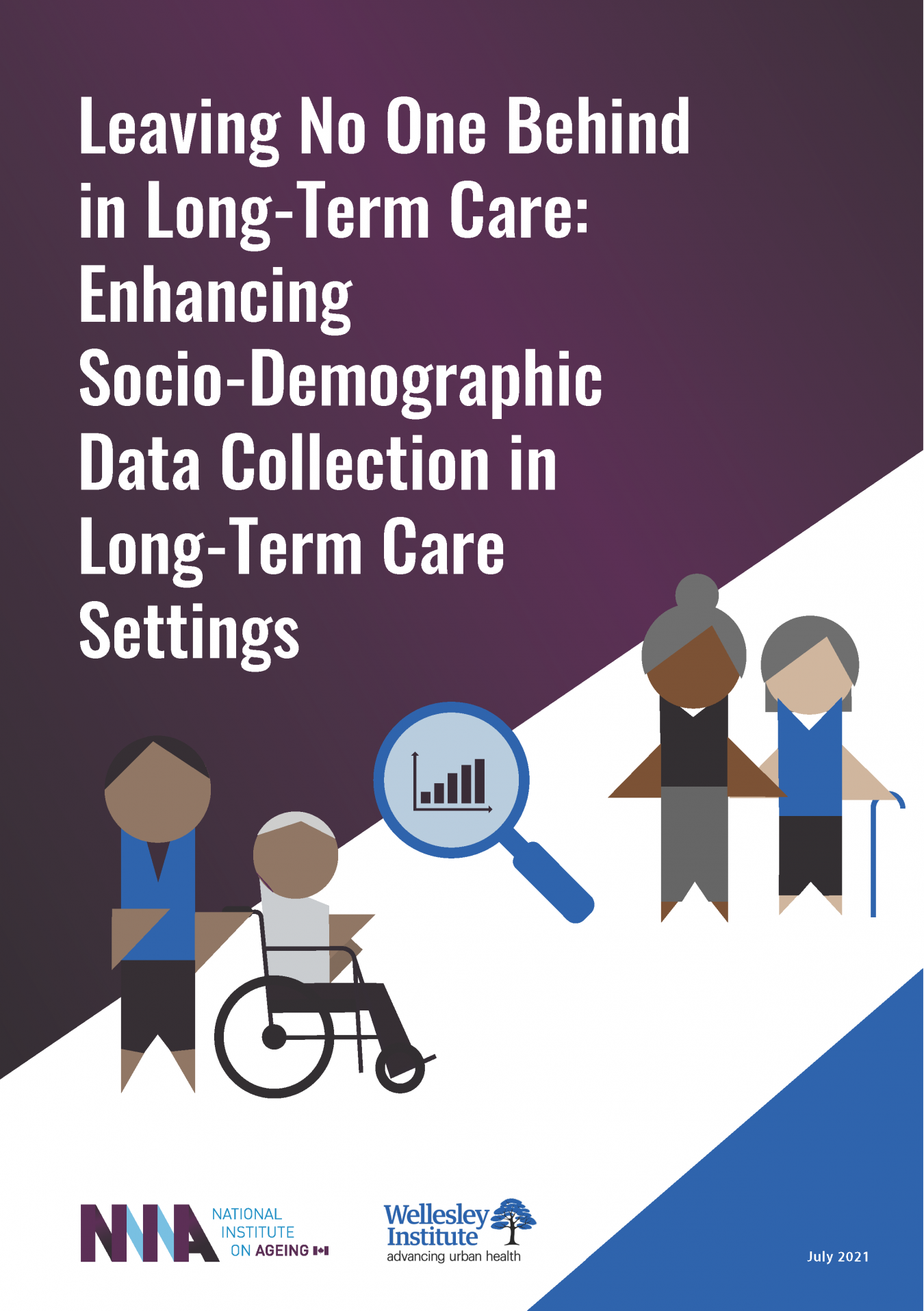 Leaving No One Behind in Long-Term Care: Enhancing Socio-Demographic ...